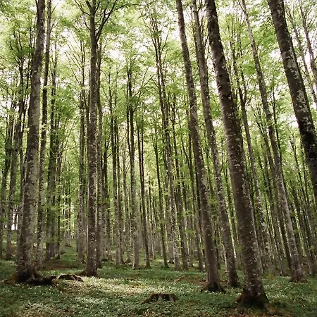 Apartman Casa Diso 2016